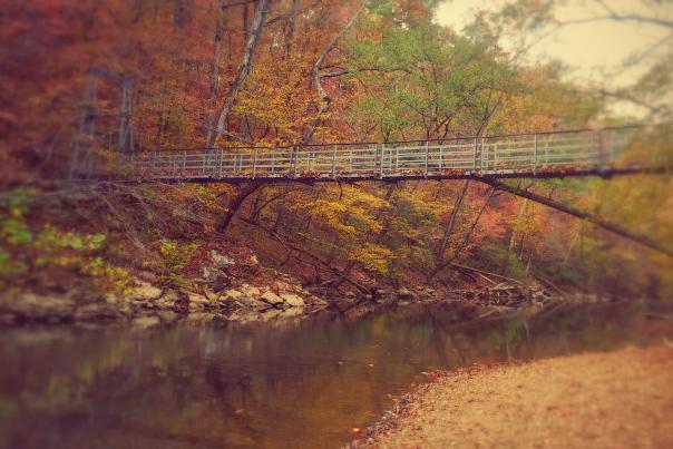 audubon acres