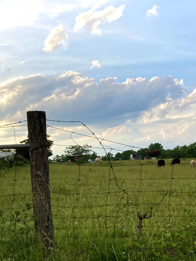 cow pasture