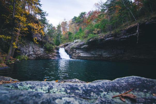 Lula Lake Land Trust
