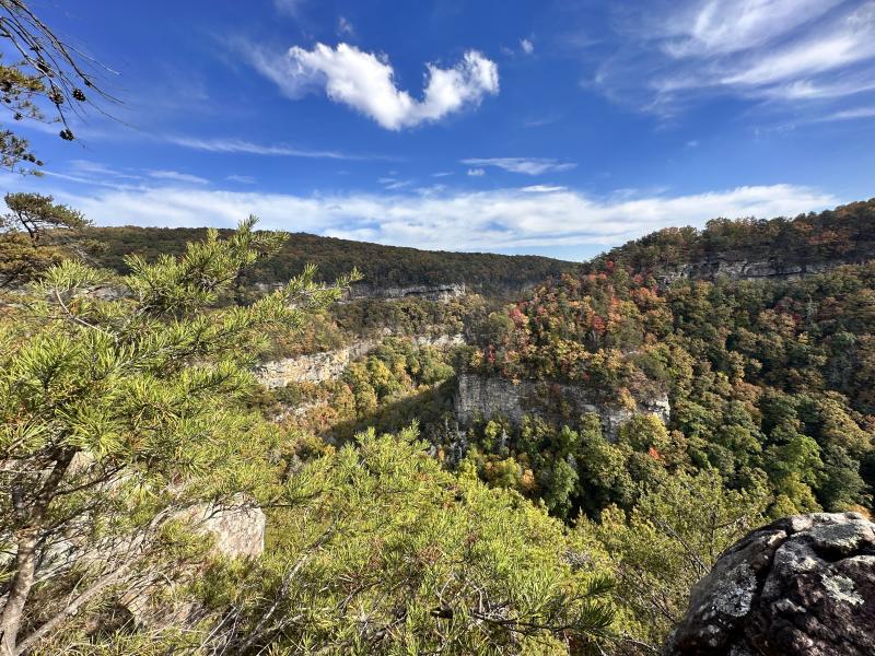 Lookout View